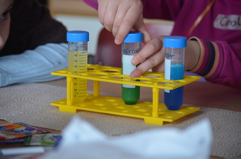 tl_files/dualingo_neu/News 2025 2026/DSC_2068.JPG